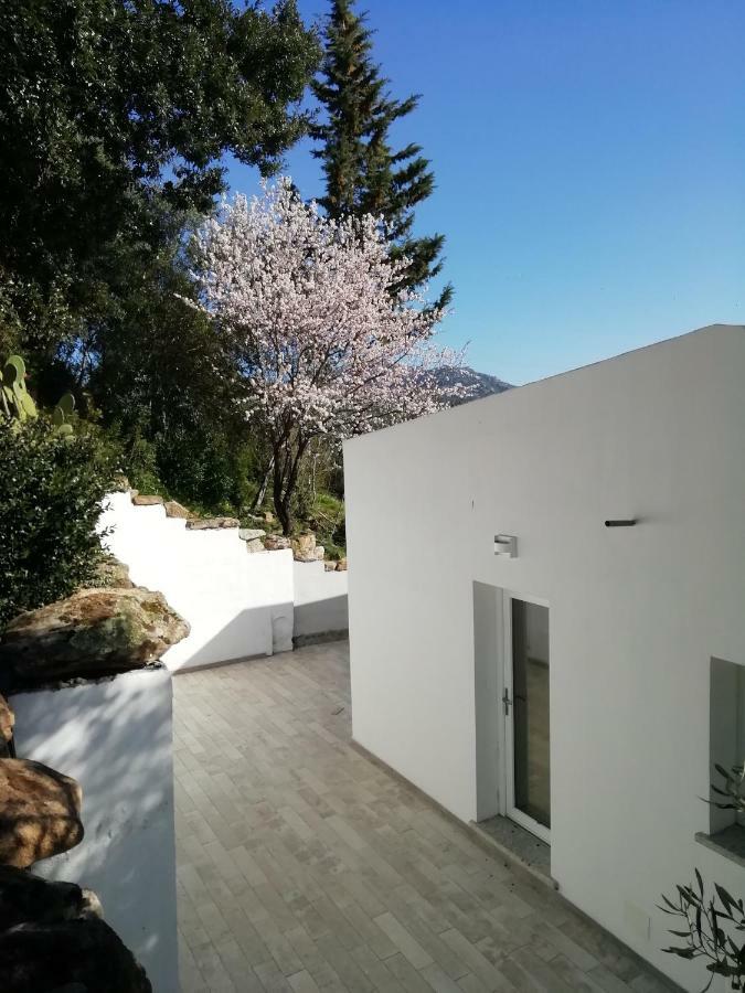 In Campagna Da Nino * Olbia